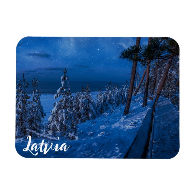 Camino forestal en el imán nocturno de invierno (Horizontal)