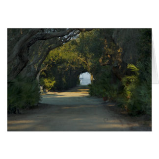 Camino pacífico