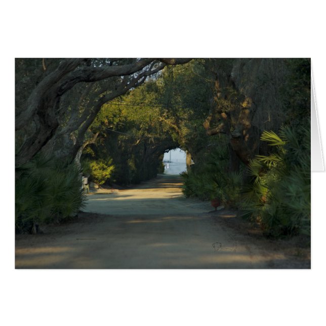 Camino pacífico (Anverso (Horizontal))