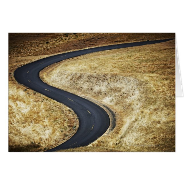 Camino pavimentado y sinuoso vacío (Anverso (Horizontal))