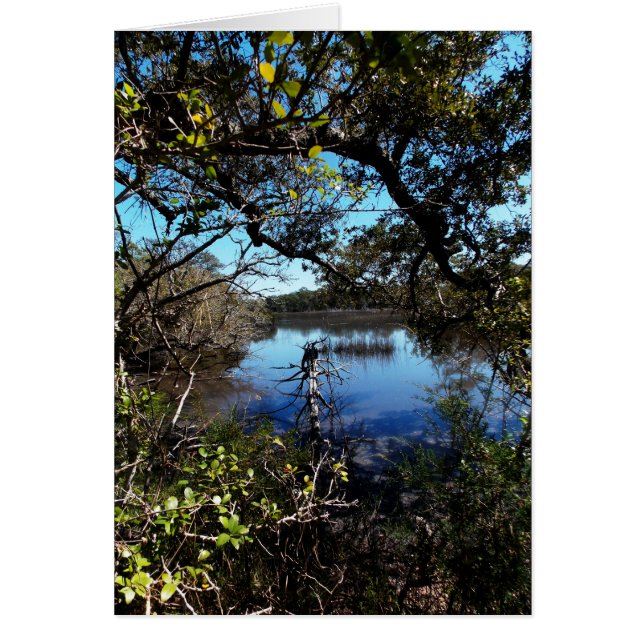 Camino Roosevelt en el acuario (Frente)