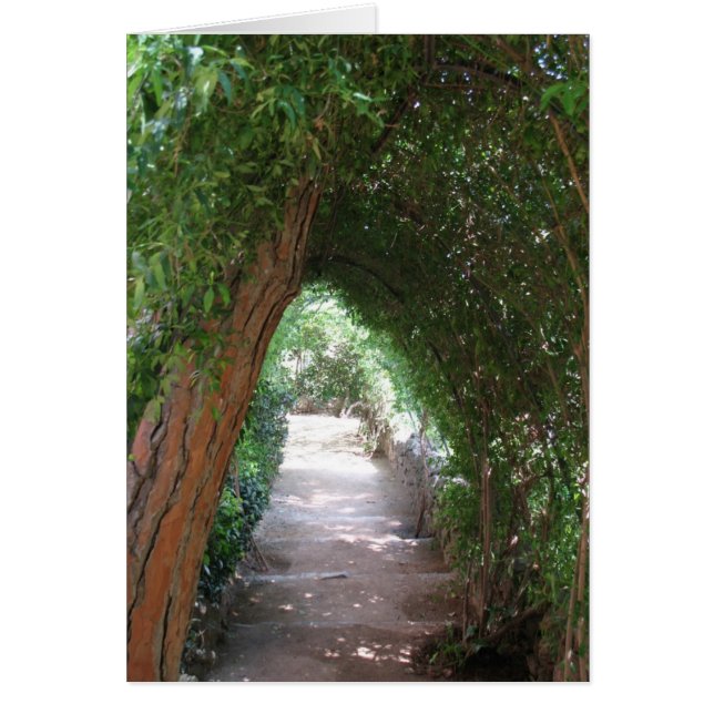 Camino secreto en el jardín de Gaudí - Tarjeta de  (Frente)