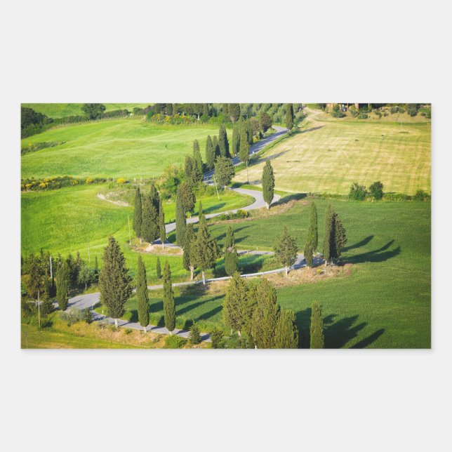 Camino serpenteante de Cypress, pegatina rectangul (Anverso)
