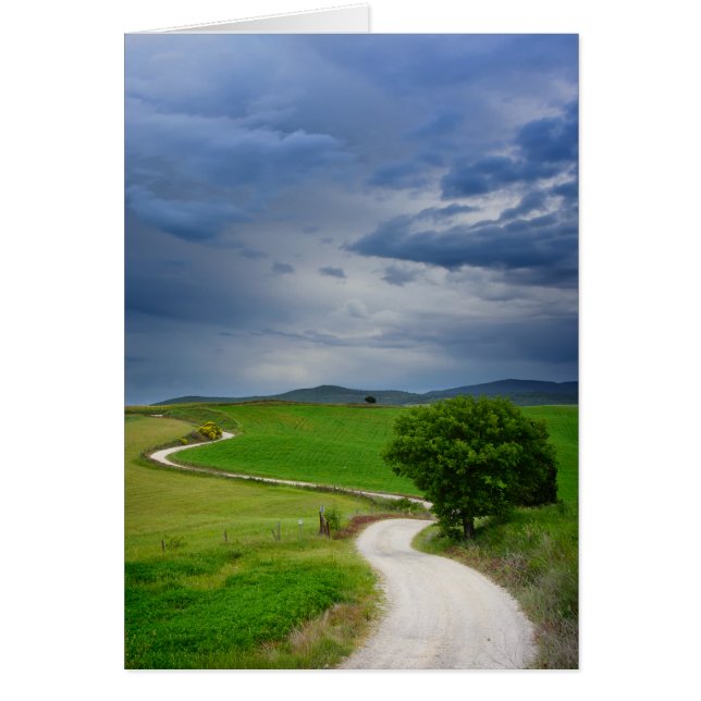 Camino sinuoso bajo un cielo oscuro (Frente)