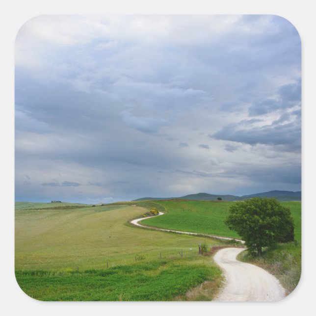 Camino sinuoso en el pegatina de Toscana (Anverso)