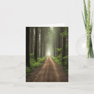 Camino Sucio En El Bosque Verde