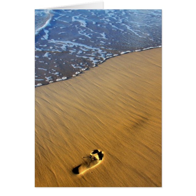 Caminos de playa (Frente)