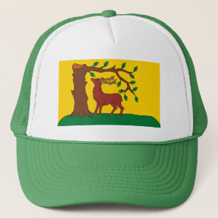Camionero Bandera del histórico condado de Berkshire Gorra