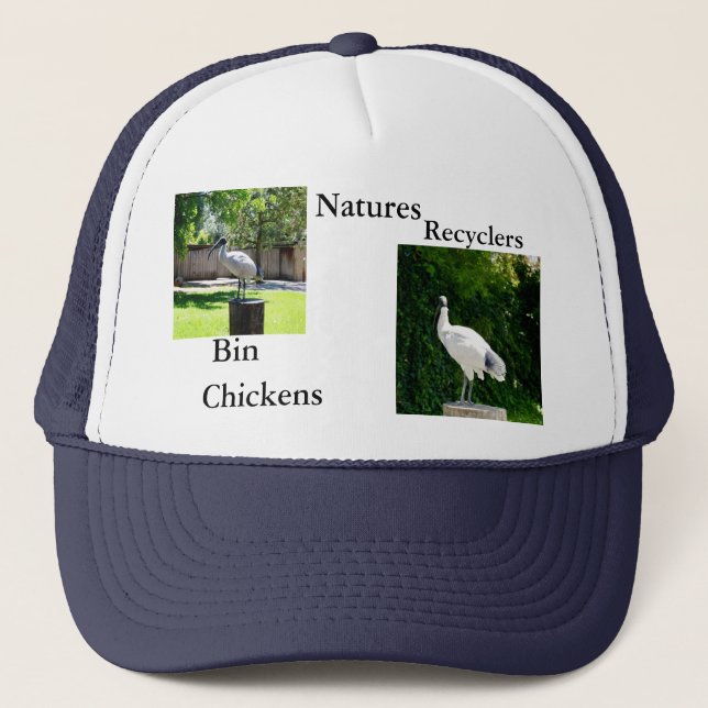 Camionero Bin Chickens (Ibis) Gorra de Camioneros Unisex (Anverso)