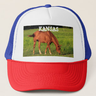 Camionero Caballo de Kansas en un Gorra de camioneros pastor