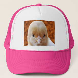 Camionero Cara de pollo bebé, Gorra
