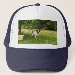 Camionero Charlie, el tiempo de juego de Fox Terrier, Gorra 