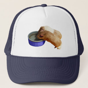 Camionero Dos Cerdos De Guinea Marrón Y Blanco, Gorra De Cam