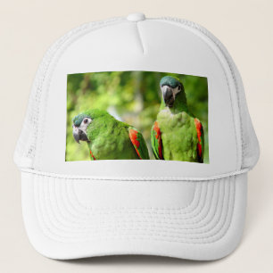 Camionero El par de verde repite mecánicamente el gorra