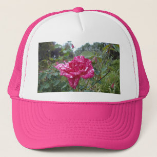 Camionero Elegante Rosa rayado rosa y blanco, Gorra de camio
