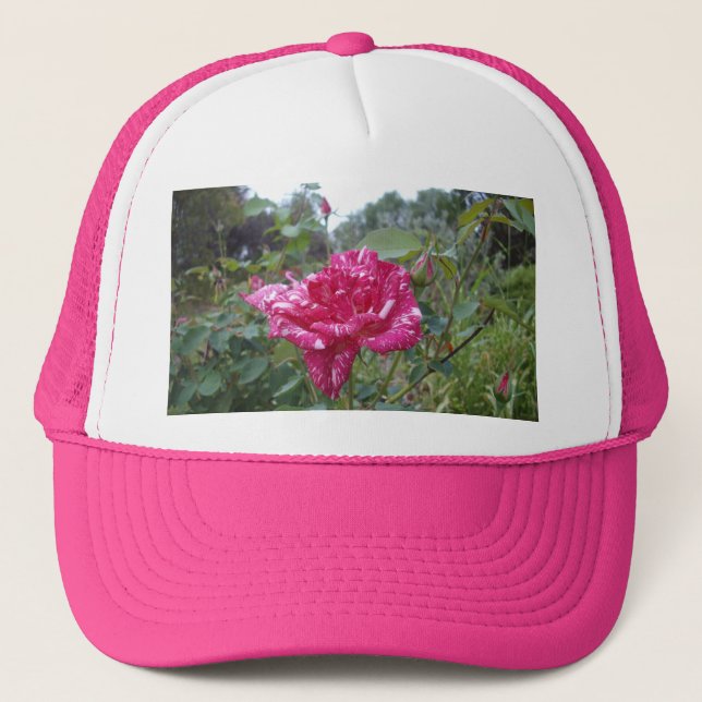 Camionero Elegante Rosa rayado rosa y blanco, Gorra de camio (Anverso)