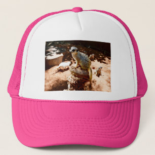 Camionero Eliza Reina De Los Suricatos, Gorra De Camioneros