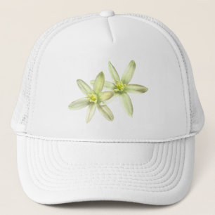 Camionero Estrella del gorra de Belén