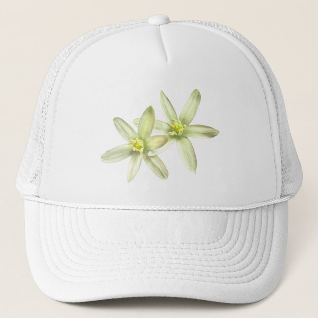 Camionero Estrella del gorra de Belén (Anverso)