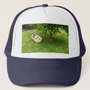 Camionero Fox Terrier Bathtime, Gorra de camioneros