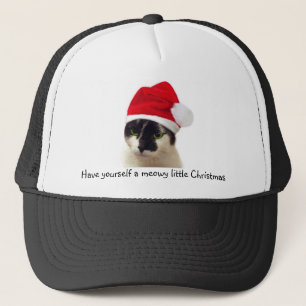 Camionero Gato con el gorra de Santa