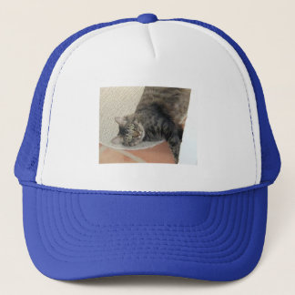 Camionero Gato de Hobie, gorra