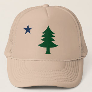 Camionero Gorra 1901 de la bandera de Maine