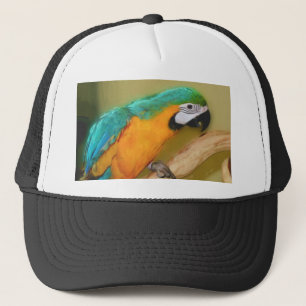 Camionero Gorra azul de la pintura del loro del Macaw del