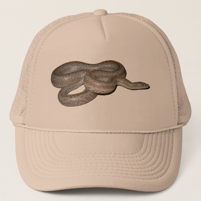 Camionero Gorra costero de la boa atractiva (Anverso)