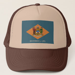 Camionero Gorra de bandera de Delaware