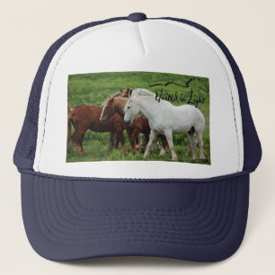 Camionero Gorra de béisbol