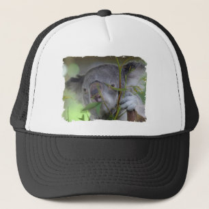 Camionero Gorra de béisbol australiano de la koala