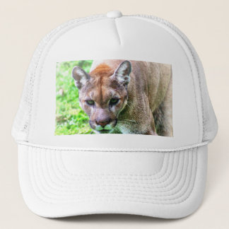 CAMIONERO GORRA DE BÉISBOL DE PANTERA DE FLORIDA