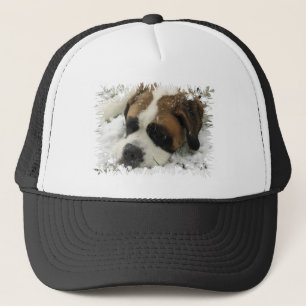Camionero Gorra de béisbol del perro de St Bernard