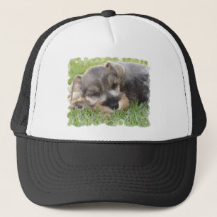 Camionero Gorra de béisbol del Schnauzer el dormitar