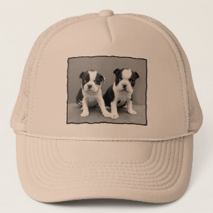 Camionero Gorra de Boston Terrier