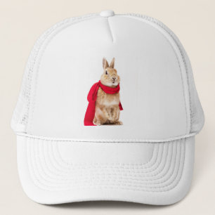 Camionero gorra de conejito superman