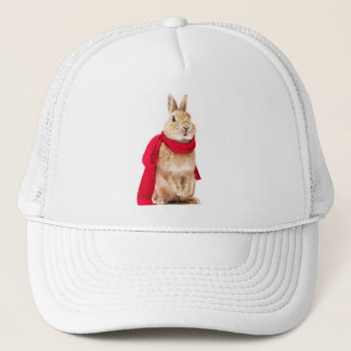 Camionero gorra de conejito superman