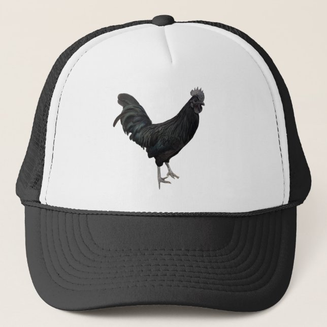 Camionero gorra de gallo negro (Anverso)