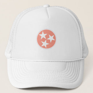 Camionero Gorra de la bandera del estado de Tennessee de