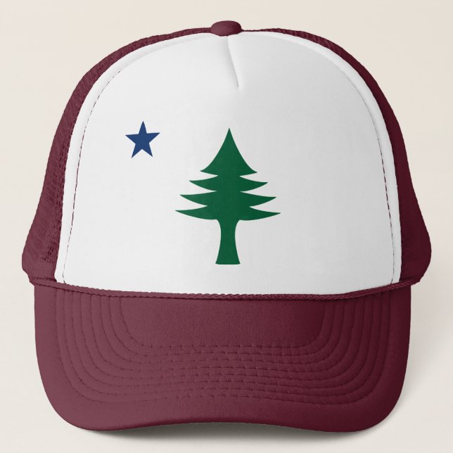Camionero gorra de la Bandera Principal de 1901 (Anverso)