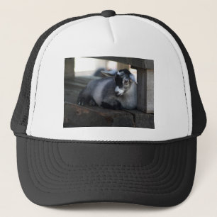 Camionero Gorra de la cabra