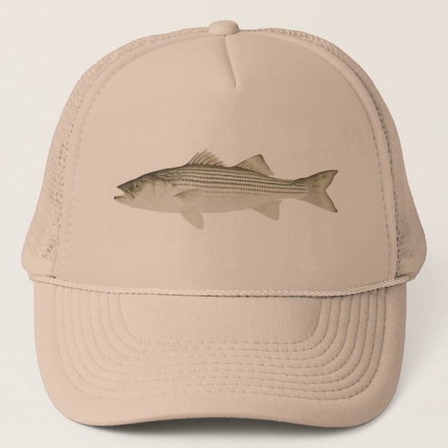 Camionero Gorra de la lubina rayada (Anverso)