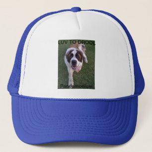 Camionero gorra de la panda
