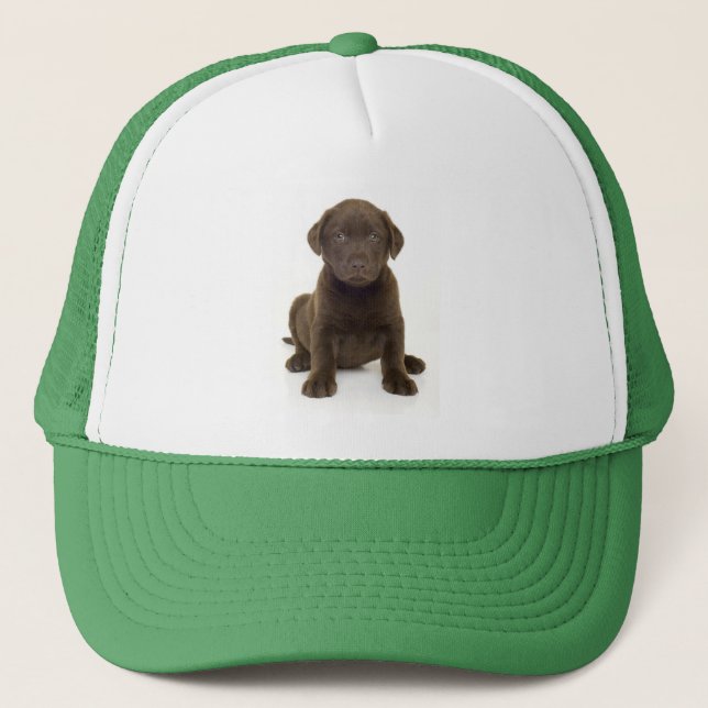 Camionero Gorra de Labrador del chocolate (Anverso)