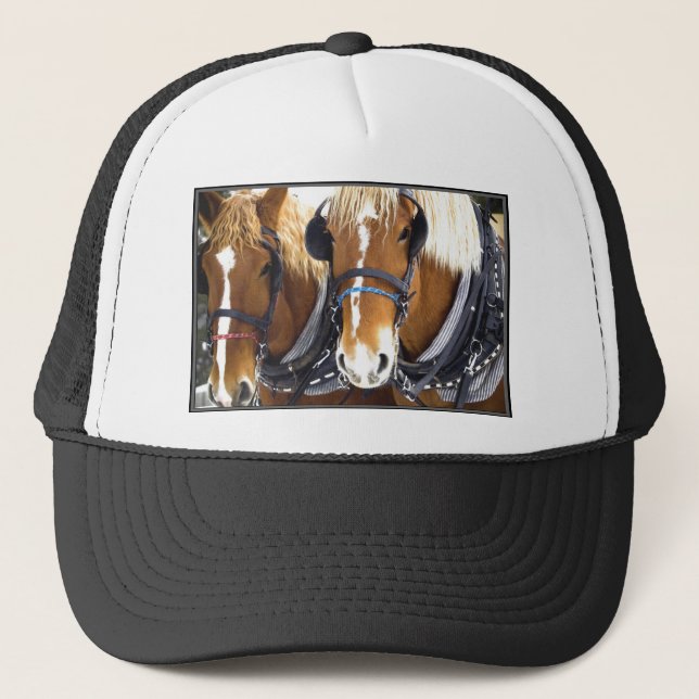 Camionero Gorra de los caballos de proyecto de Clydesdale (Anverso)