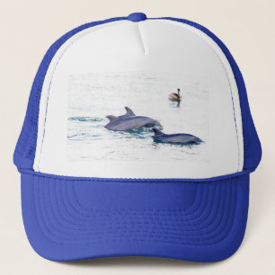Camionero Gorra de los delfínes de Bottlenose