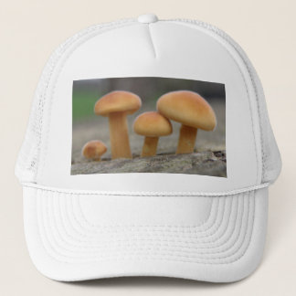 Camionero Gorra de macros de toadstoides pequeños