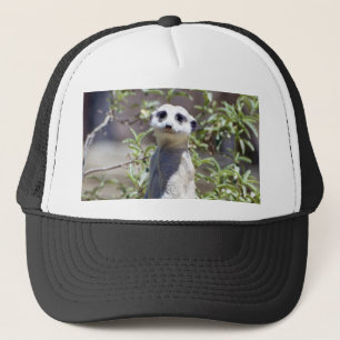 Camionero Gorra de Meerkat