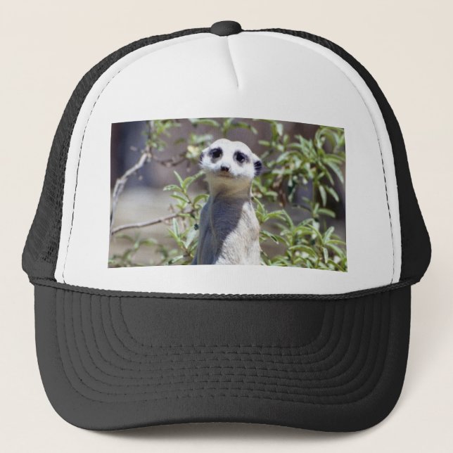 Camionero Gorra de Meerkat (Anverso)